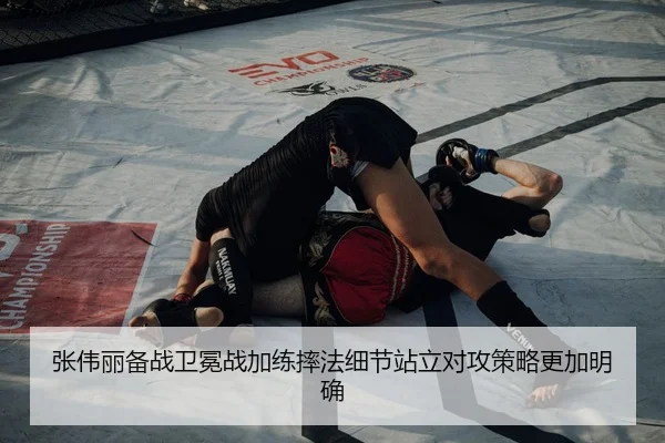 张伟丽备战卫冕战加练摔法细节站立对攻策略更加明确（MILANSPORT）